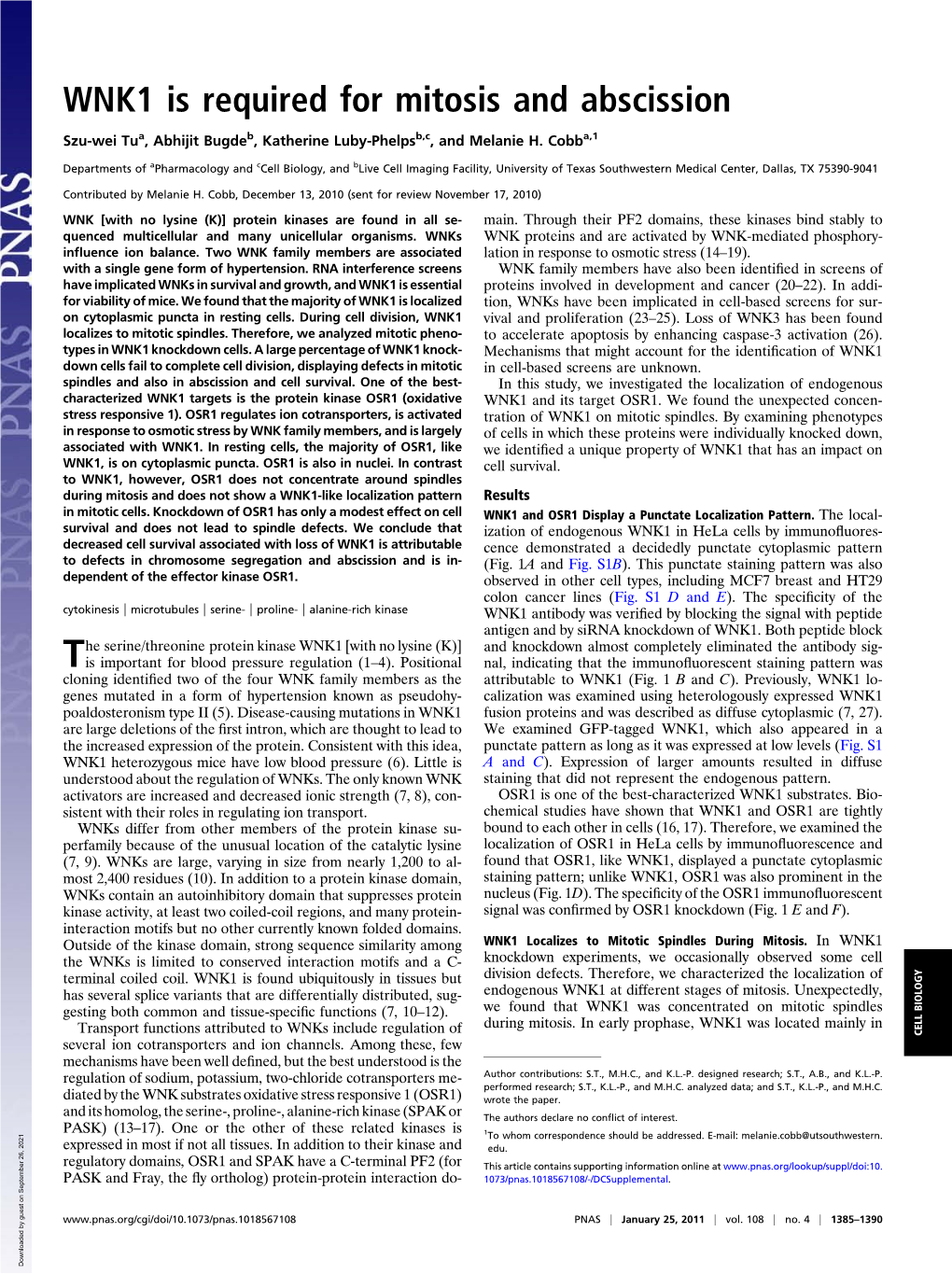 WNK1 Is Required for Mitosis and Abscission