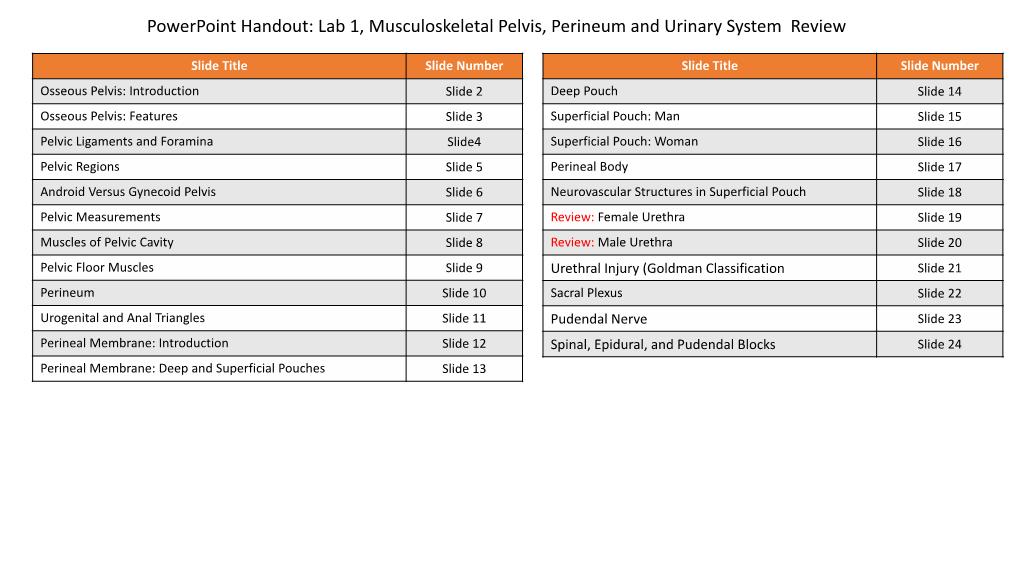 Powerpoint Handout: Lab 1, Musculoskeletal Pelvis, Perineum and Urinary System Review