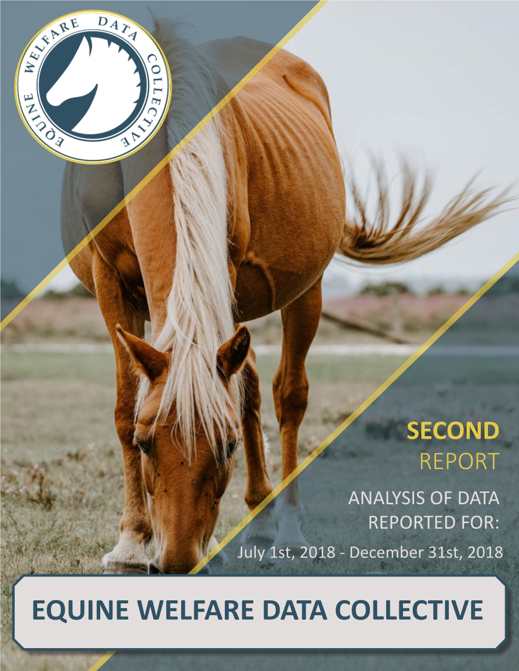 Equine Welfare Data Collective Table of Contents