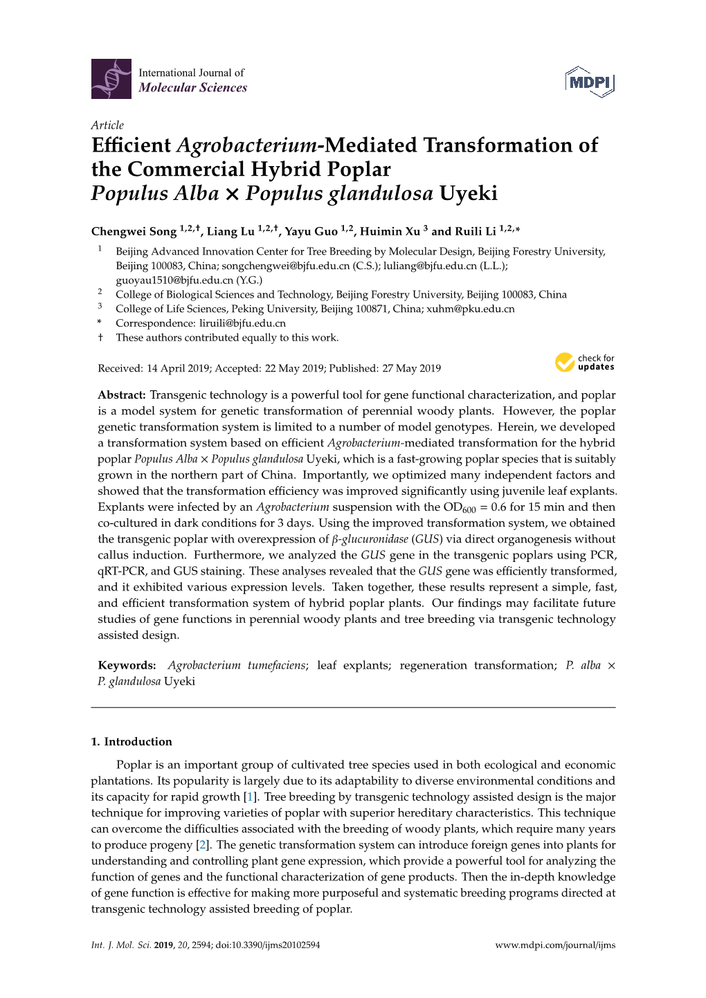 Efficient Agrobacterium-Mediated Transformation of the Commercial