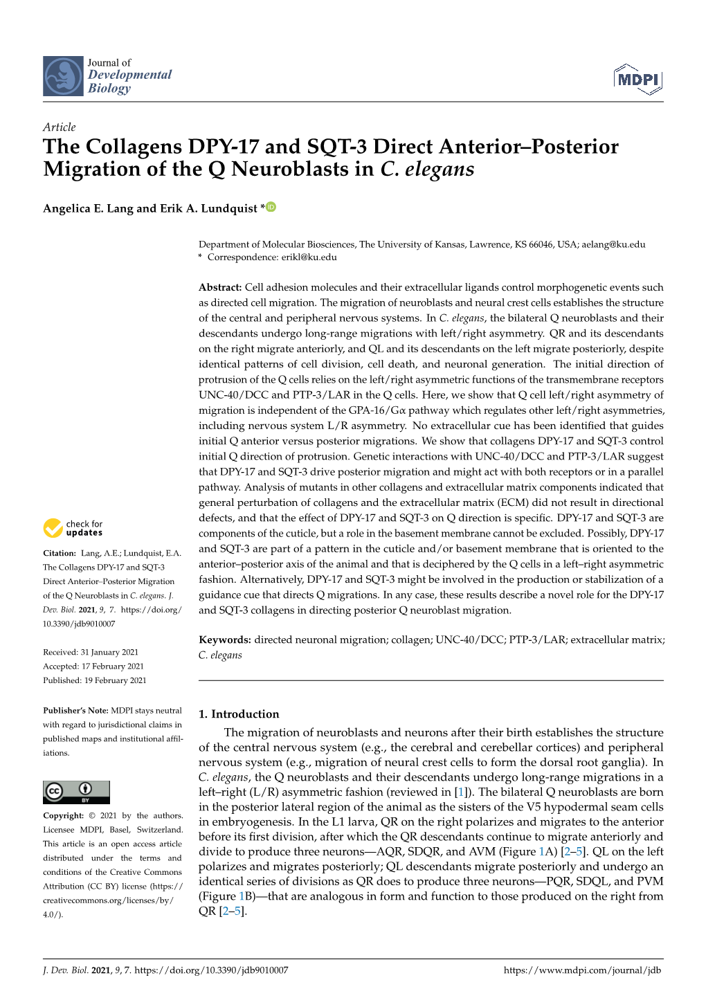The Collagens DPY-17 and SQT-3 Direct Anterior–Posterior Migration of the Q Neuroblasts in C