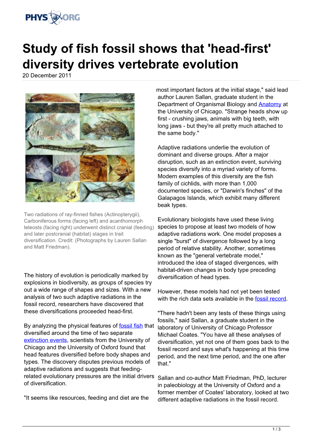 Study of Fish Fossil Shows That 'Head-First' Diversity Drives Vertebrate Evolution 20 December 2011