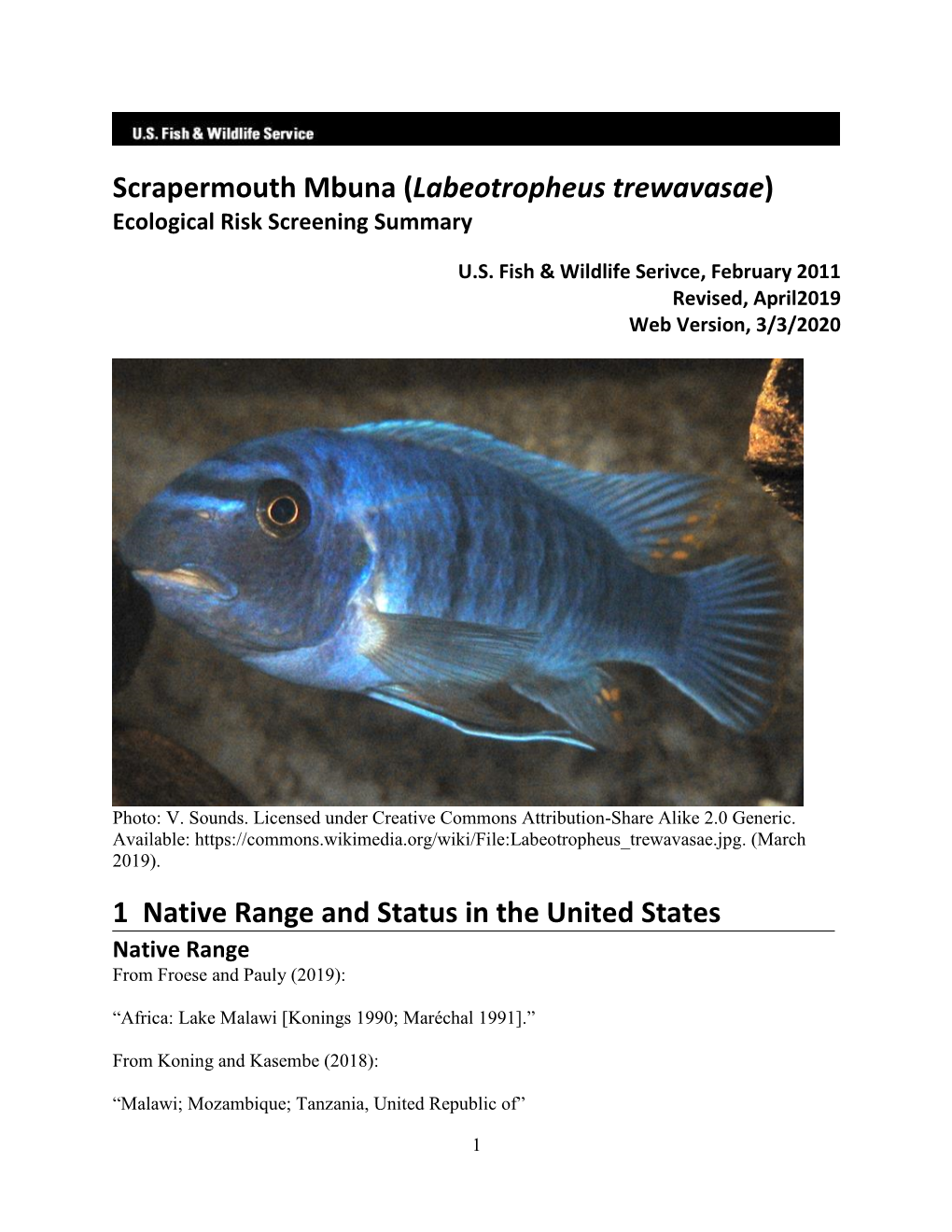 Labeotropheus Trewavasae) Ecological Risk Screening Summary