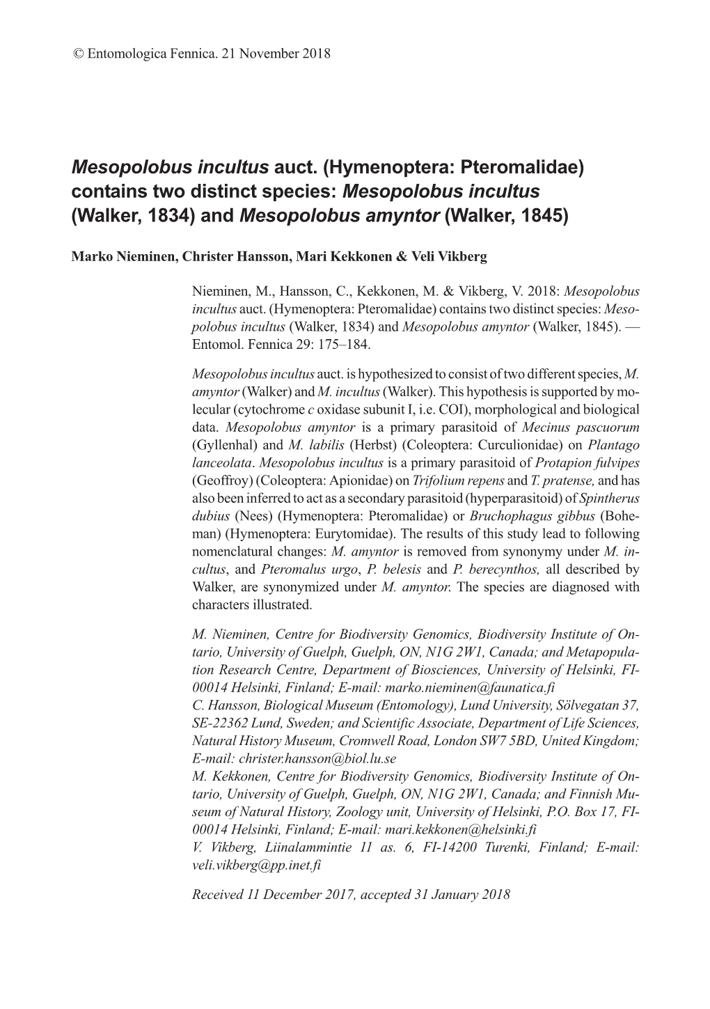 Mesopolobus Incultus Auct