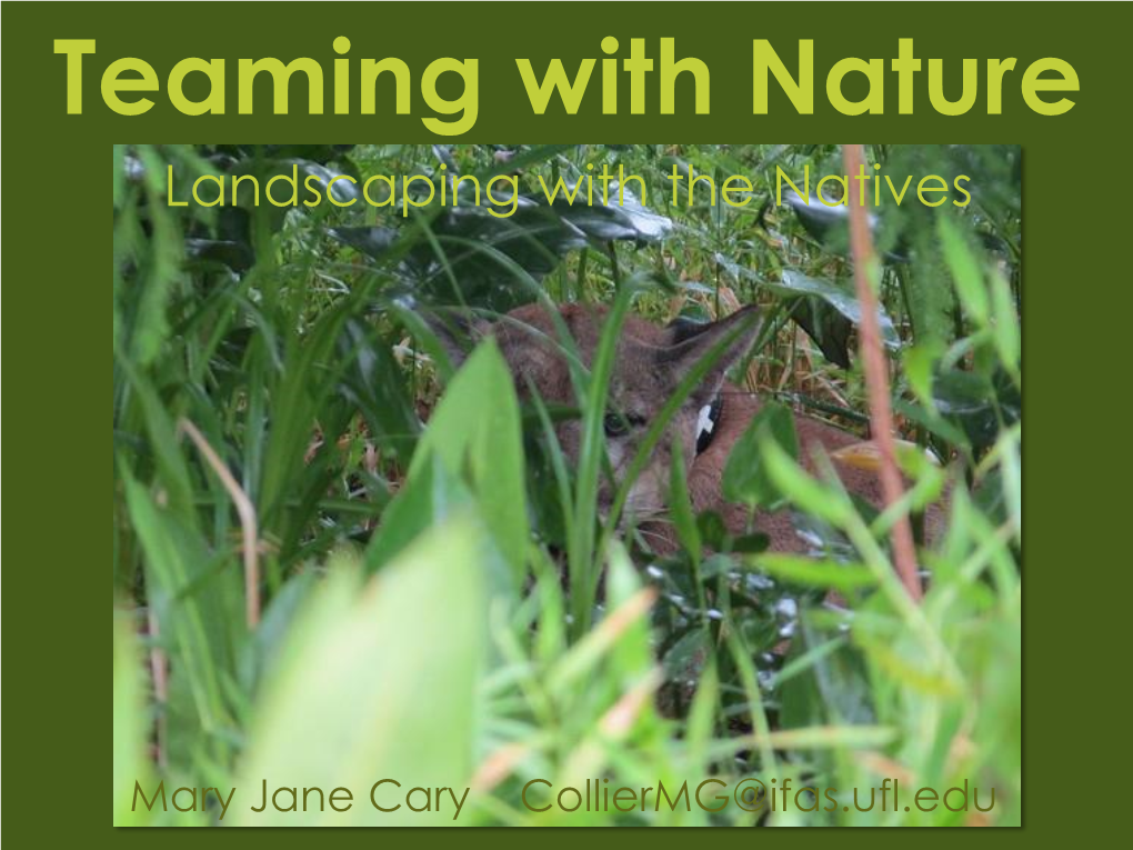 Teaming with Nature Landscaping with the Natives