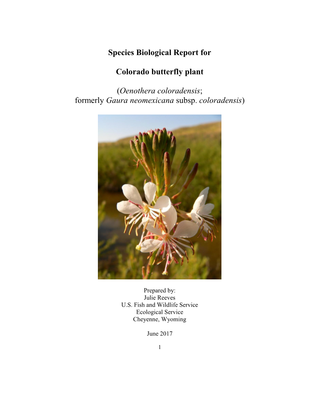Species Biological Report for Colorado Butterfly Plant (Oenothera Coloradensis; Formerly Gaura Neomexicana Subsp. Coloradensis