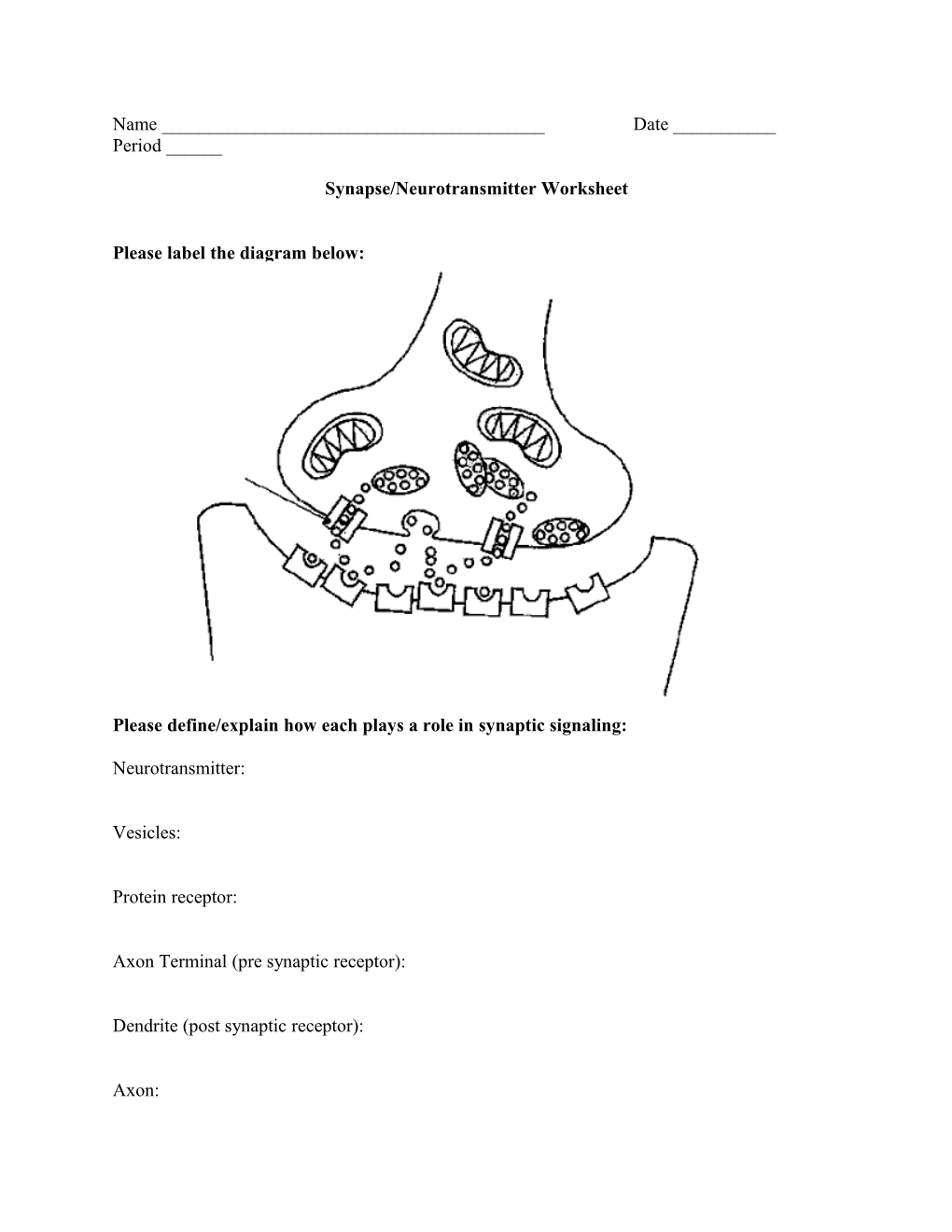 Please Label the Diagram Below