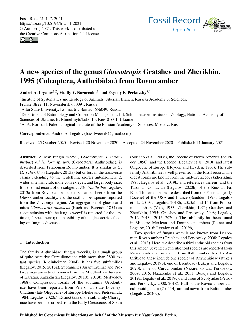 A New Species of the Genus Glaesotropis Gratshev and Zherikhin, 1995 (Coleoptera, Anthribidae) from Rovno Amber