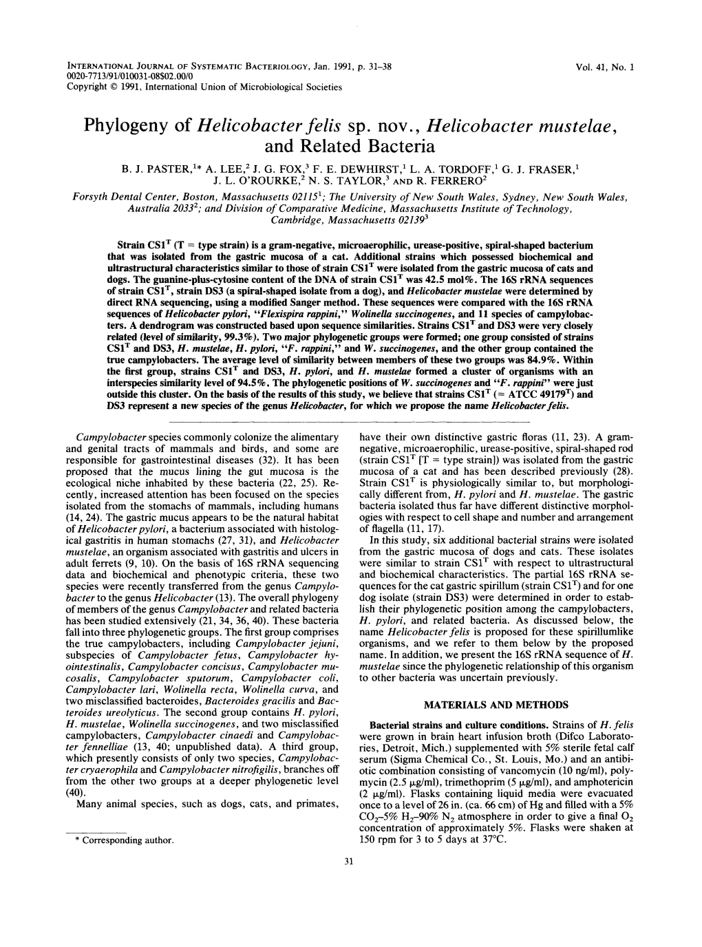 Phylogeny of Helicobacter Felis Sp. Nov. , Helicobacter Mustelae, and Related Bacteria B