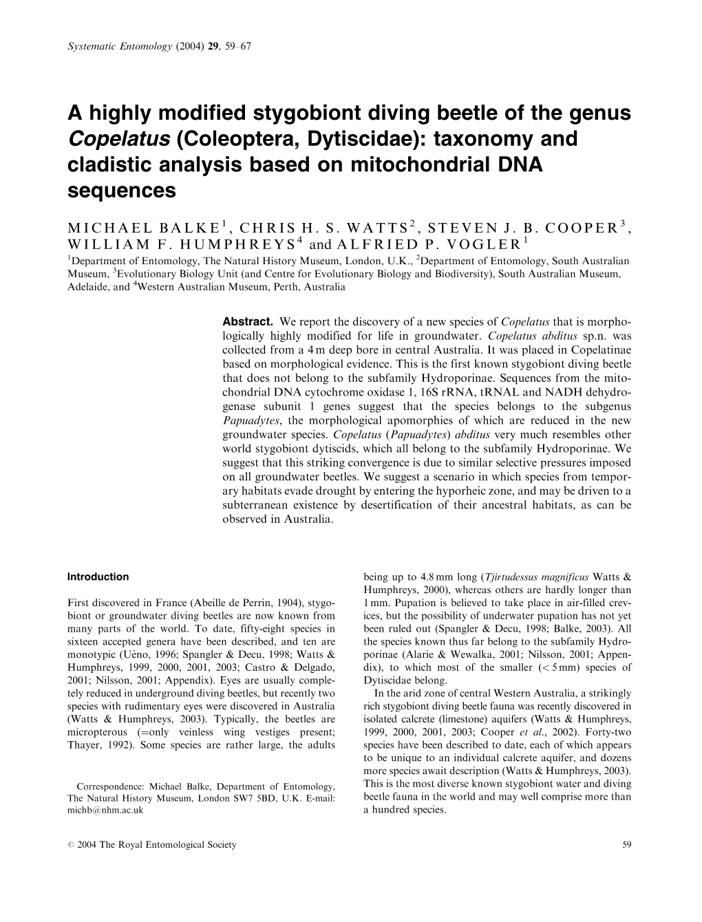 A Highly Modified Stygobiont Diving Beetle of the Genus Copelatus (Coleoptera, Dytiscidae): Taxonomy and Cladistic Analysis Based on Mitochondrial DNA Sequences