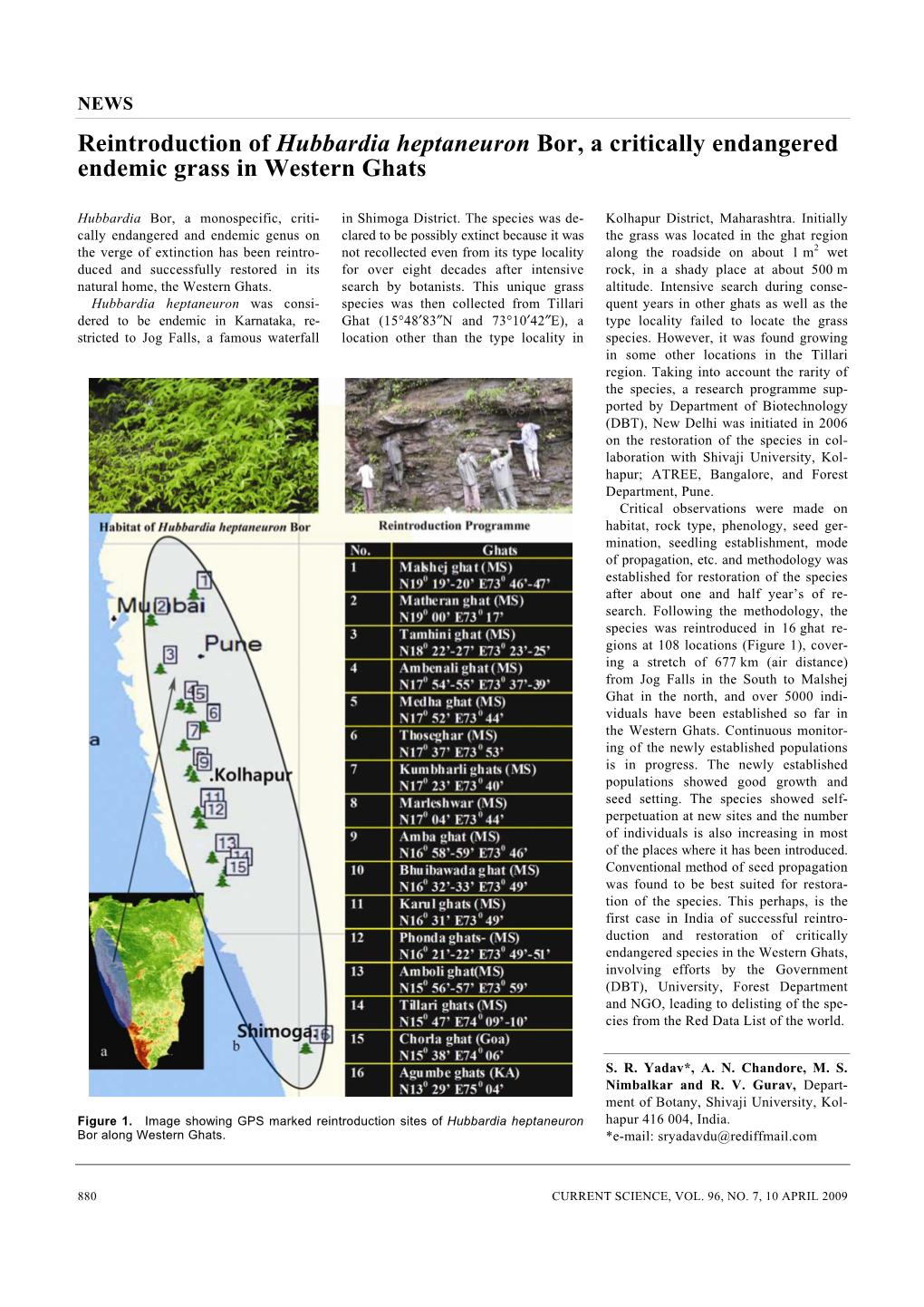 Reintroduction of Hubbardia Heptaneuron Bor, a Critically Endangered Endemic Grass in Western Ghats