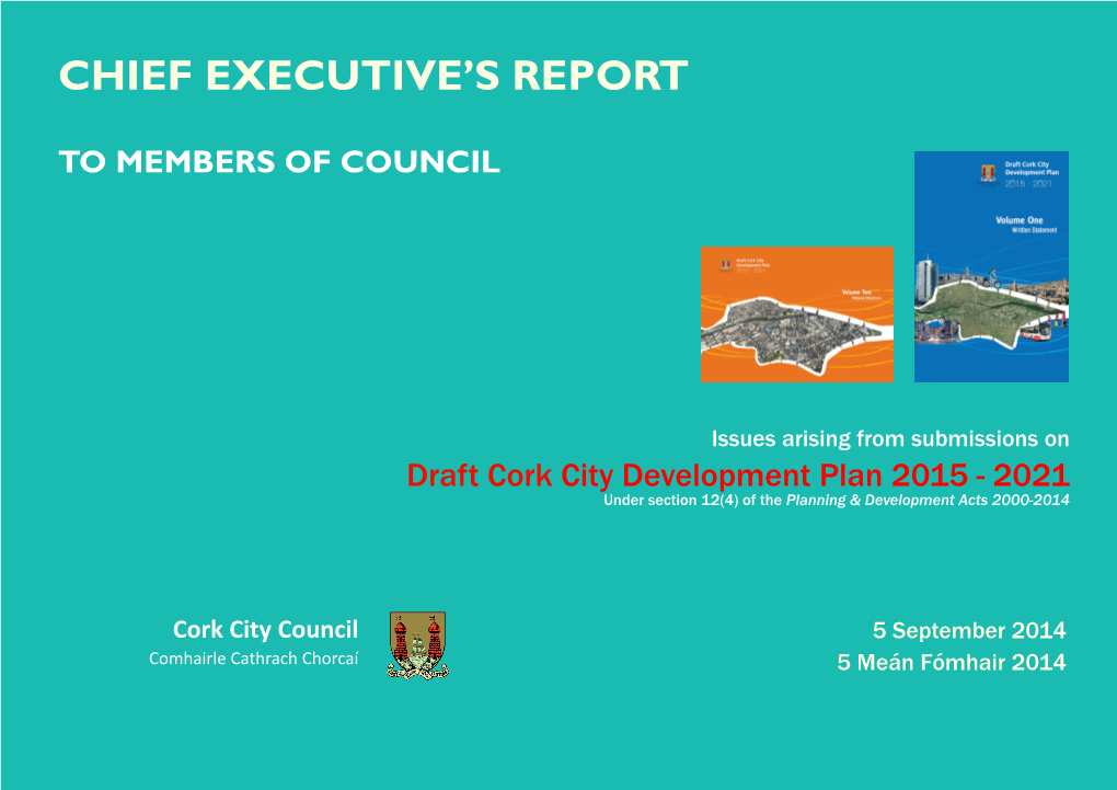 Chief Executive's Report on Submission To