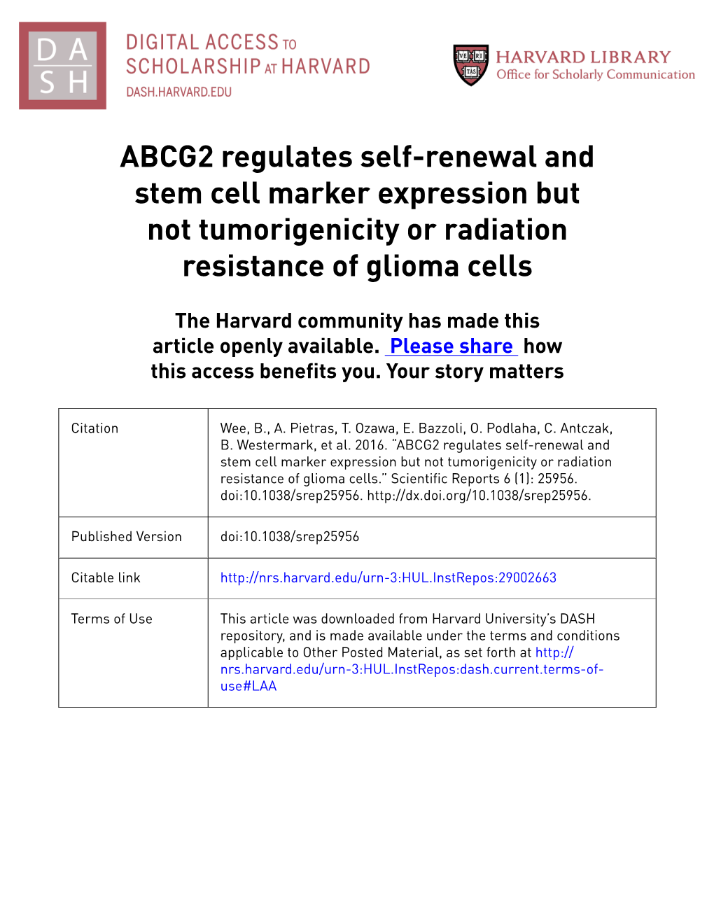 ABCG2 Regulates Self-Renewal and Stem Cell Marker Expression but Not Tumorigenicity Or Radiation Resistance of Glioma Cells