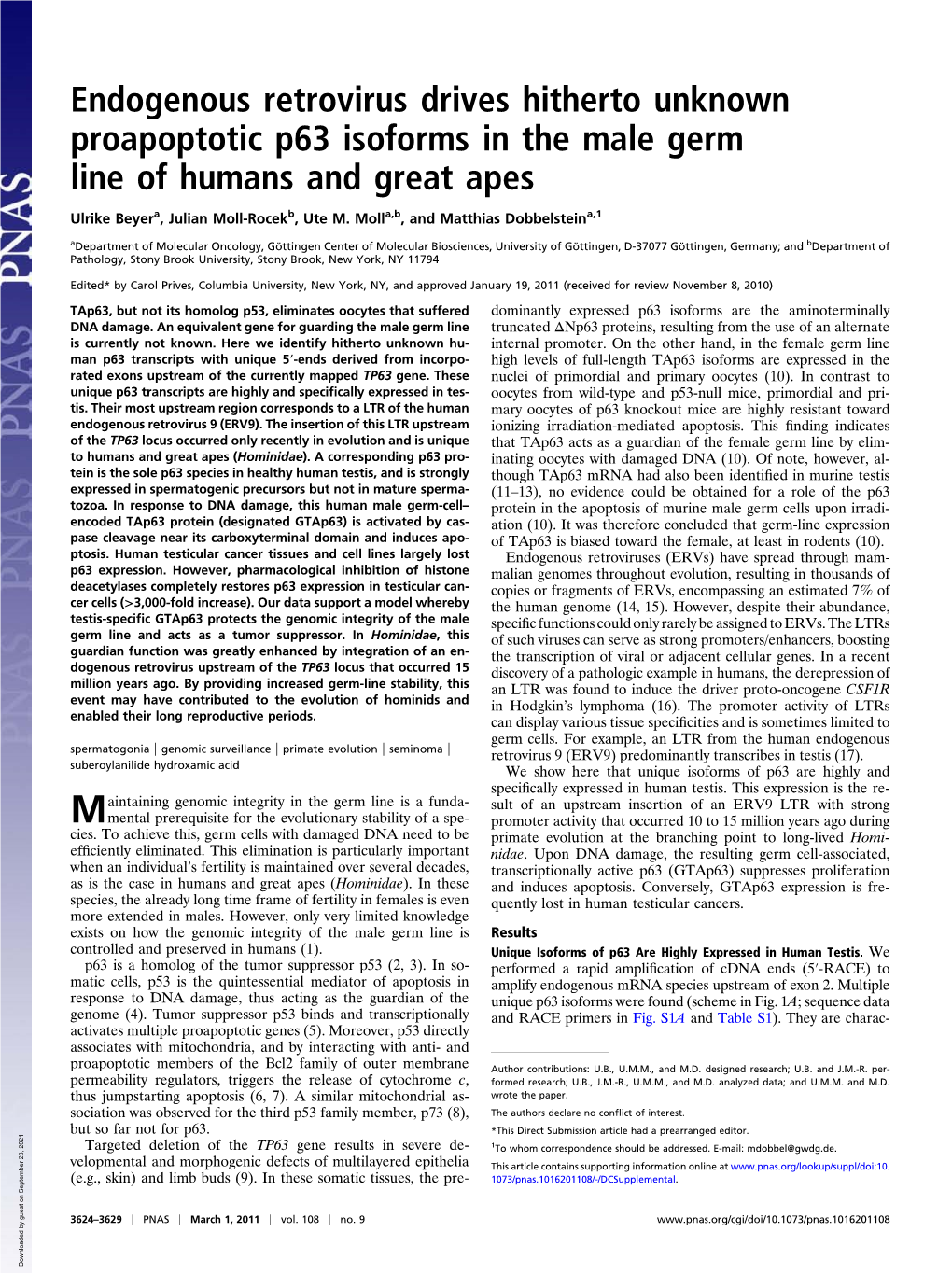Endogenous Retrovirus Drives Hitherto Unknown Proapoptotic P63 Isoforms in the Male Germ Line of Humans and Great Apes