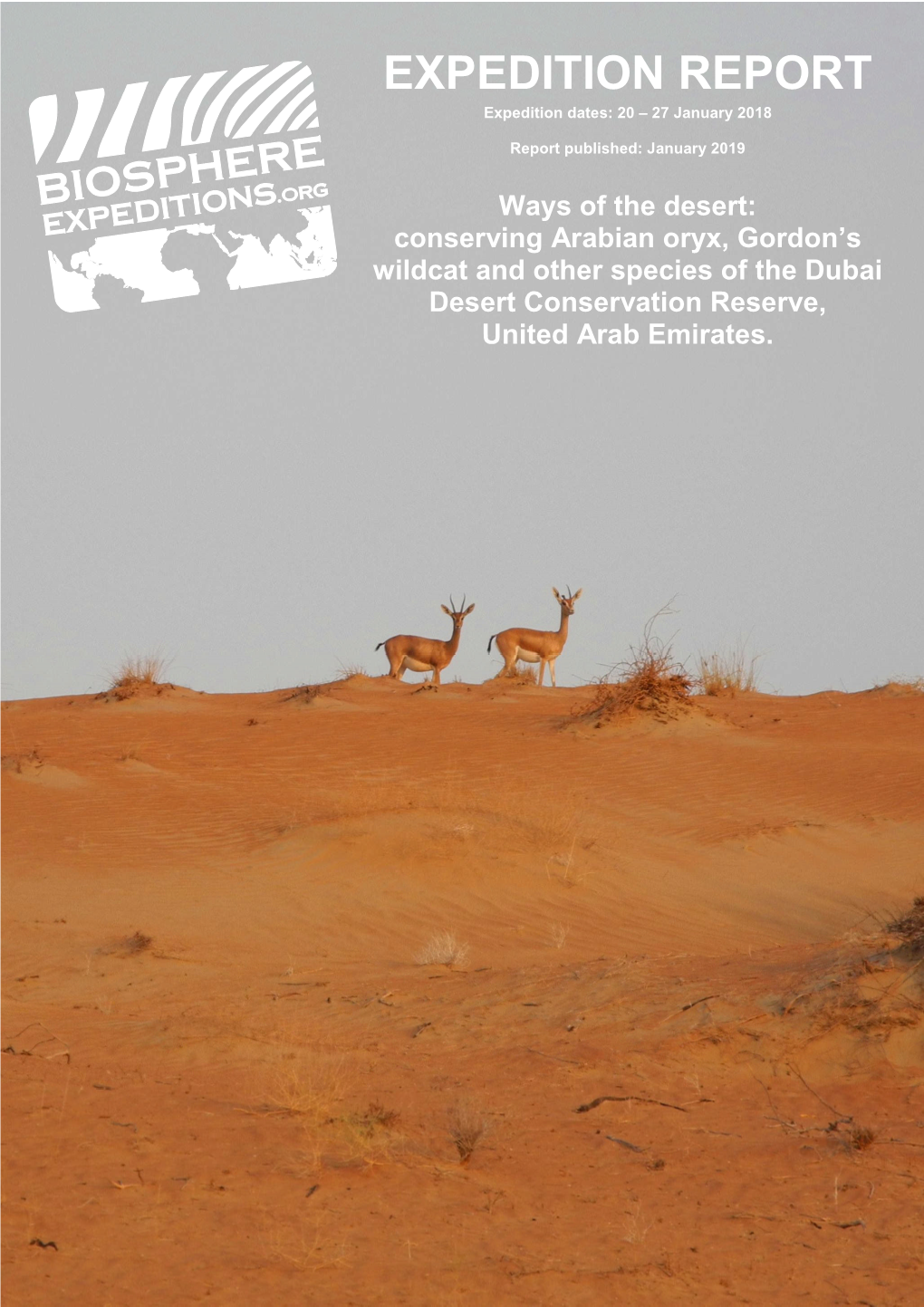 Arabian Oryx, Gordon's Wildcat Et