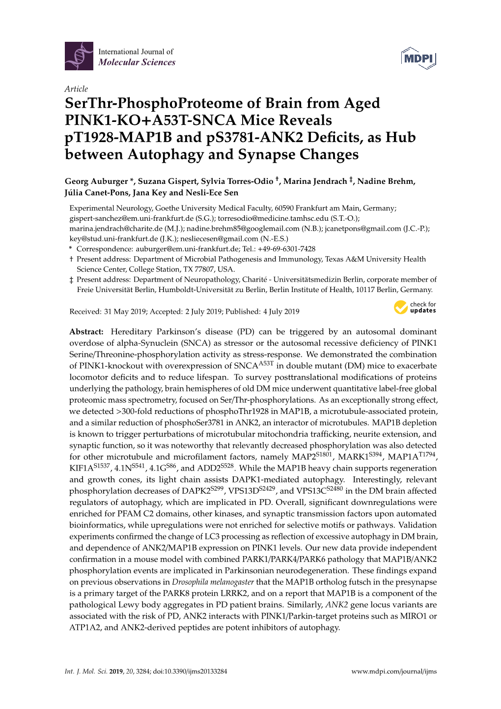 Serthr-Phosphoproteome of Brain from Aged PINK1-KO+A53T-SNCA Mice Reveals Pt1928-MAP1B and Ps3781-ANK2 Deﬁcits, As Hub Between Autophagy and Synapse Changes