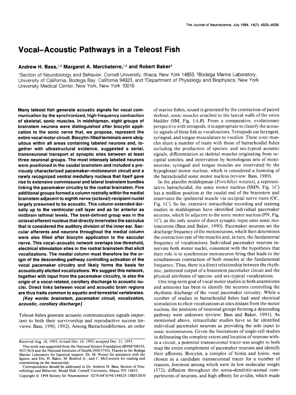 Vocal-Acoustic Pathways in a Teleost Fish