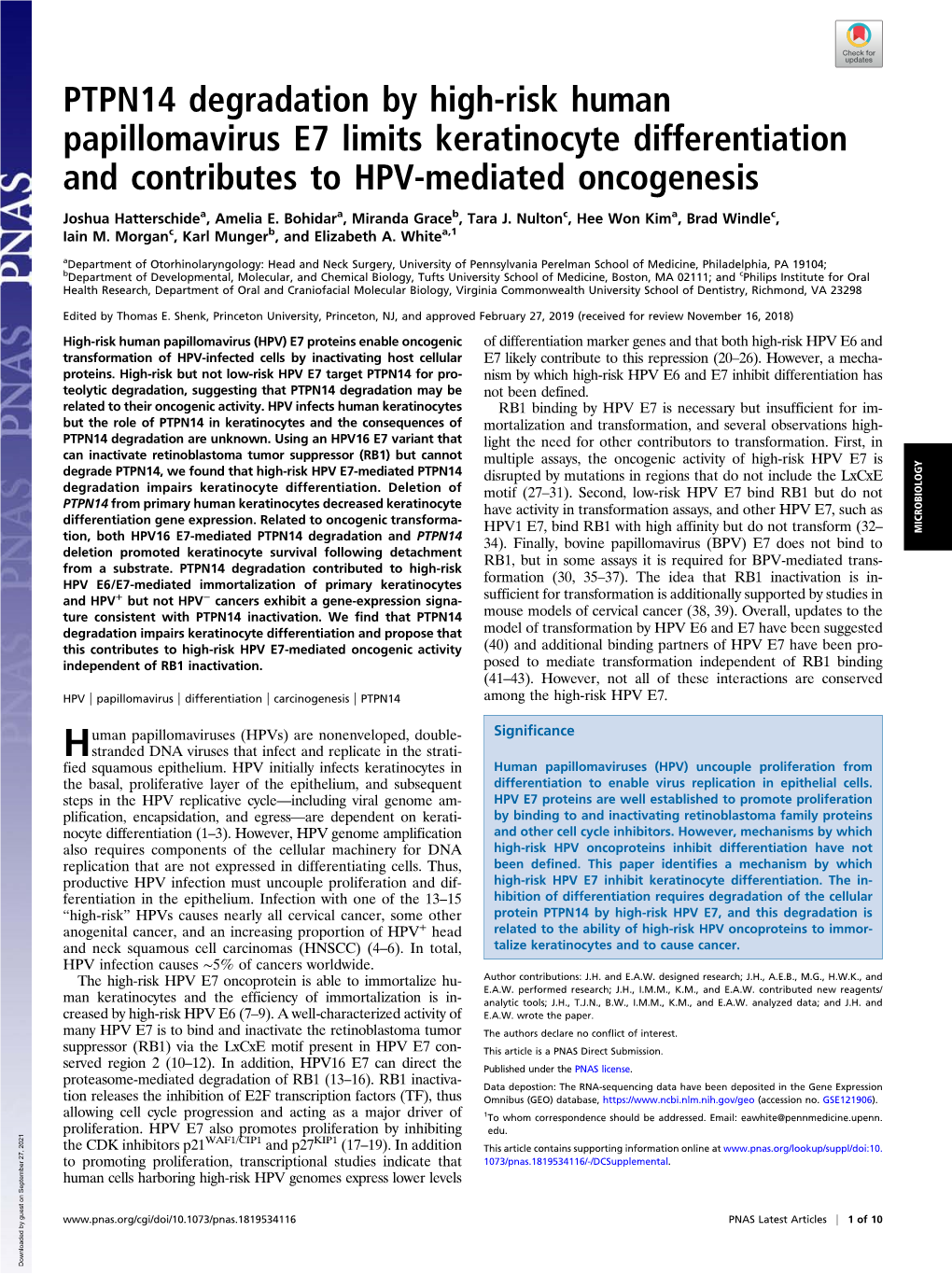 PTPN14 Degradation by High-Risk Human Papillomavirus E7 Limits Keratinocyte Differentiation and Contributes to HPV-Mediated Oncogenesis