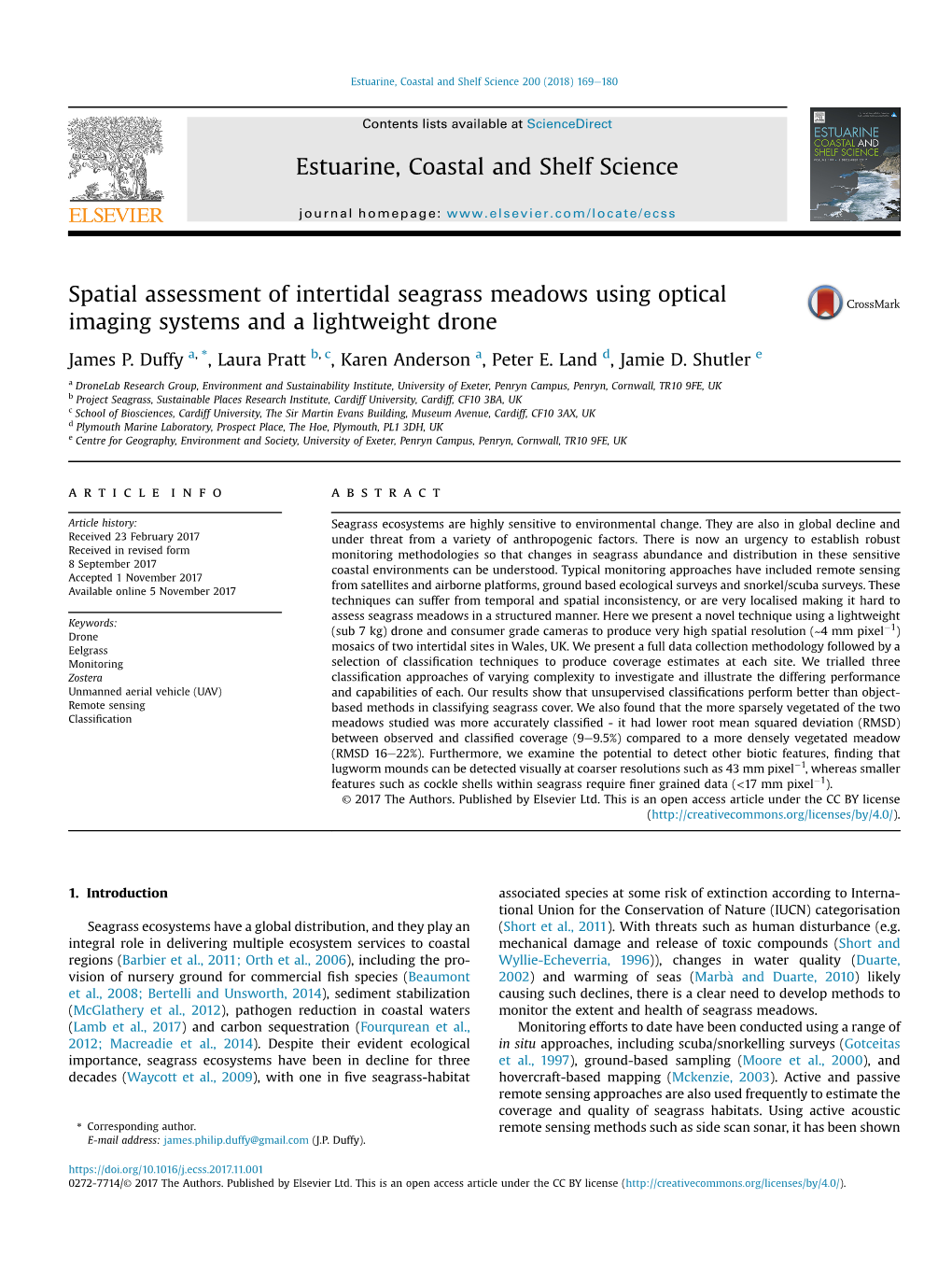 Spatial Assessment of Intertidal Seagrass Meadows Using Optical Imaging Systems and a Lightweight Drone