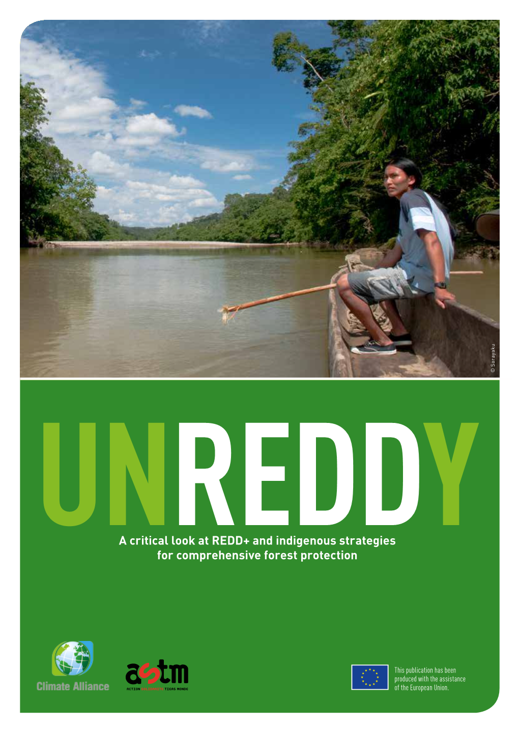 UNREDDY – a Critical Look at REDD+ and Indigenous Strategies for Comprehensive Forest Protection