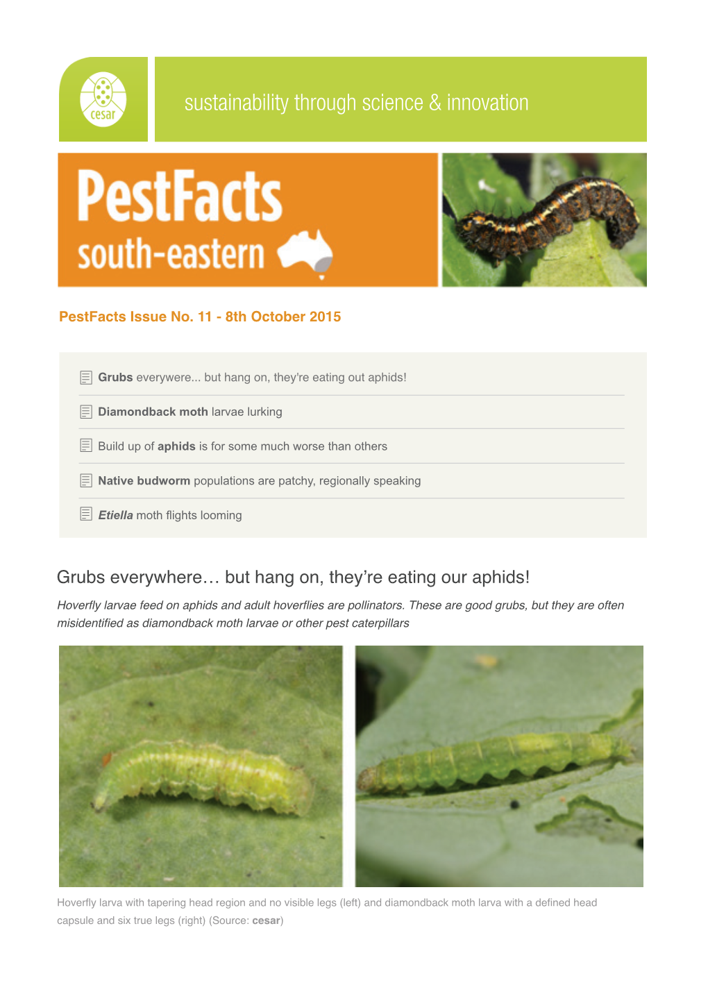 Pestfacts Issue No. 11 - 8Th October 2015