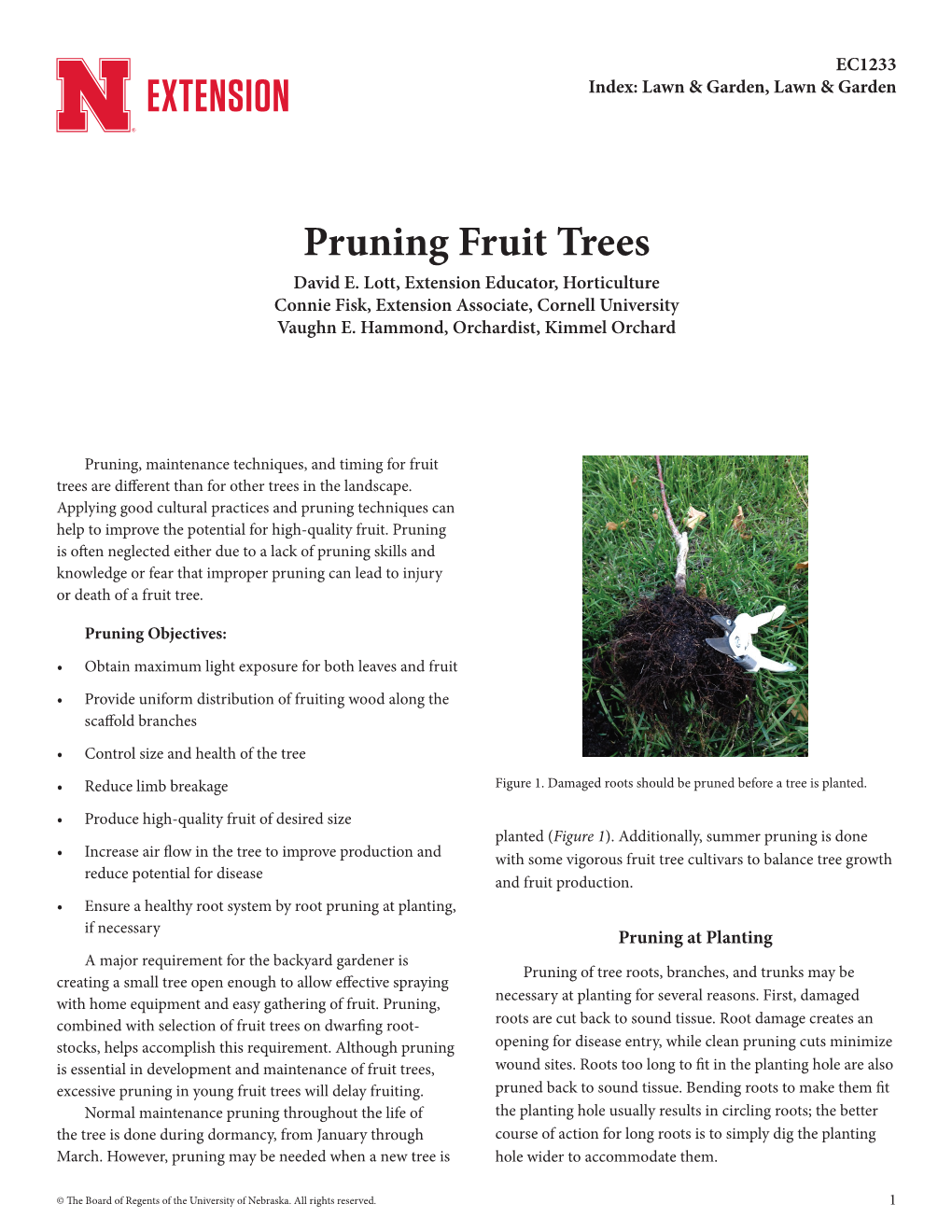 Pruning Fruit Trees David E