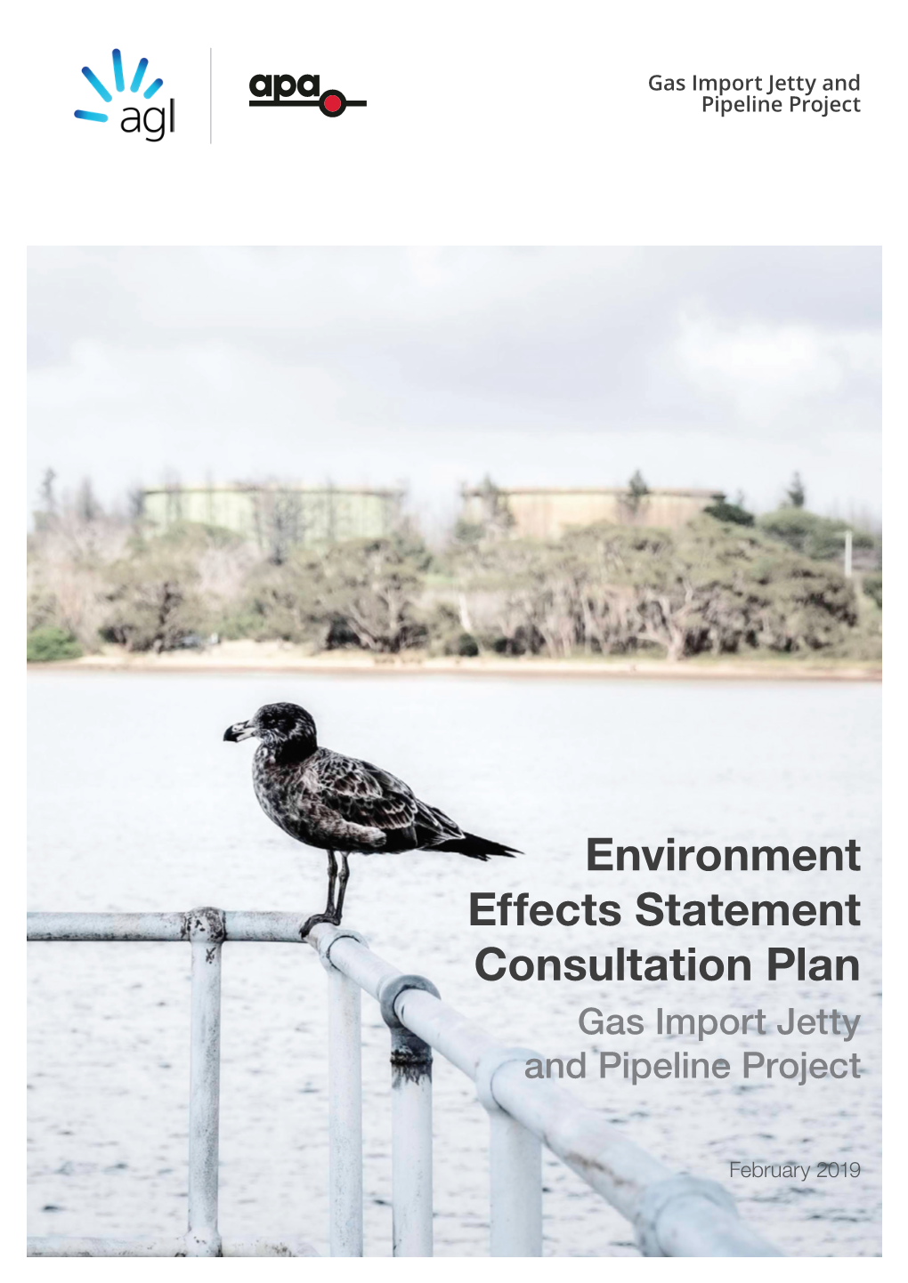 Environment Effects Statement Consultation Plan Gas Import Jetty and Pipeline Project