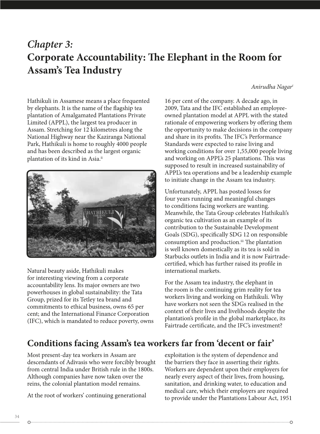 Corporate Accountability: the Elephant in the Room for Assam's