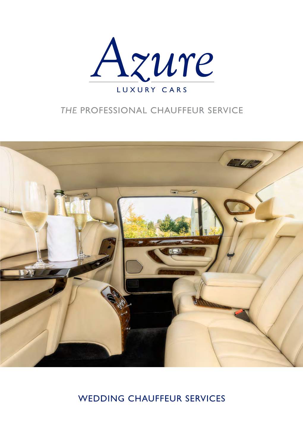 The Professional Chauffeur Service