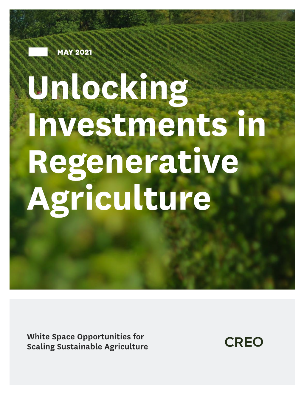 White Space Opportunities for Scaling Sustainable Agriculture About CREO