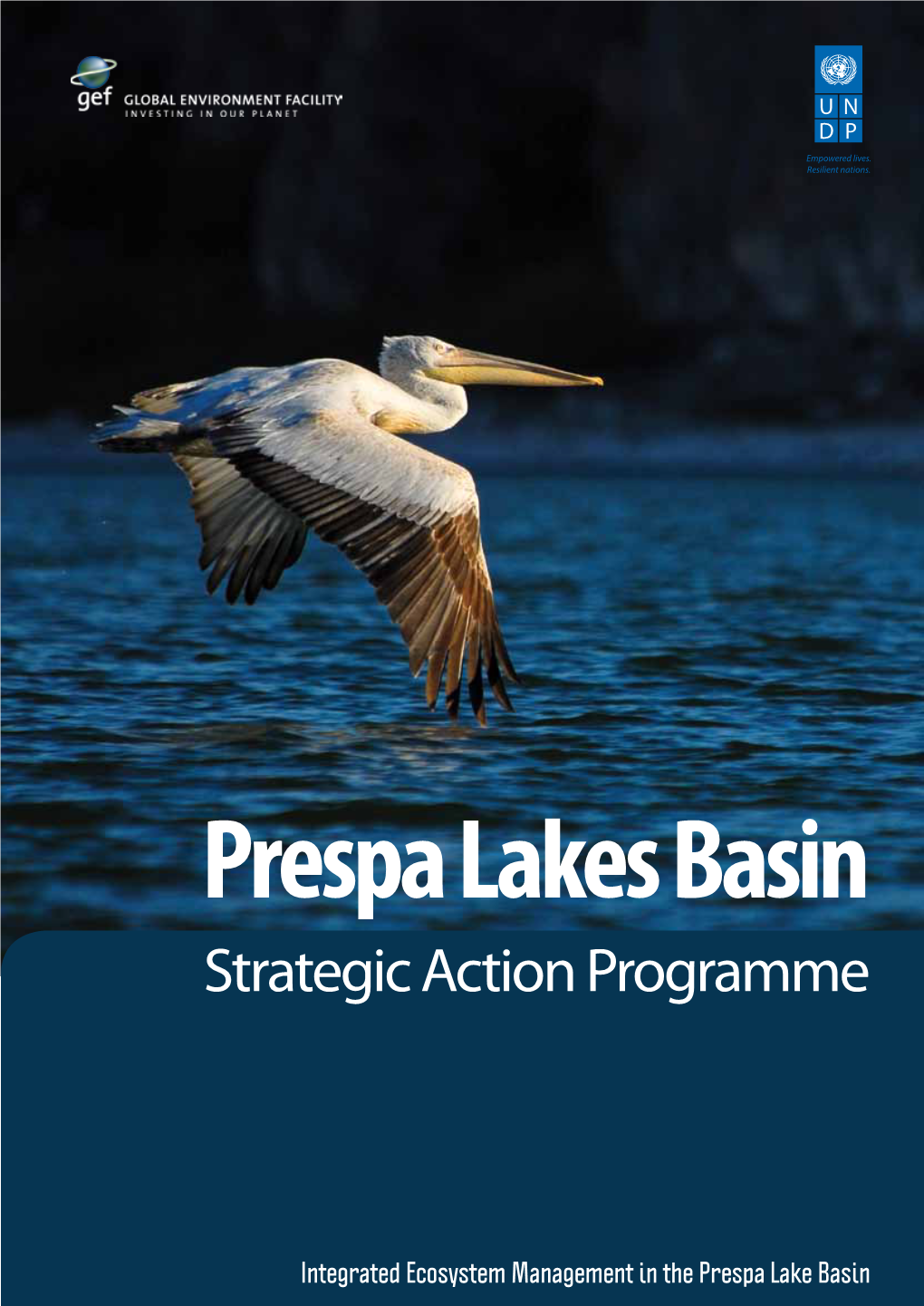 Strategic Action Programme