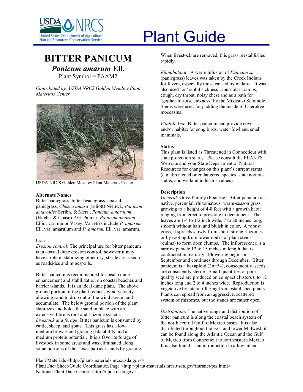 Plant Guide Bitter Panicum