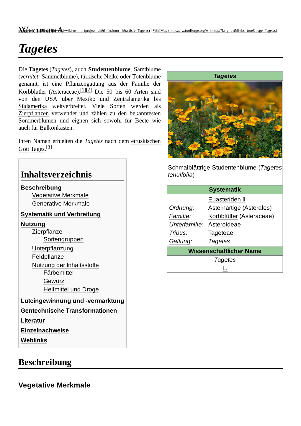 Tagetes) | Wikimap ( Tagetes