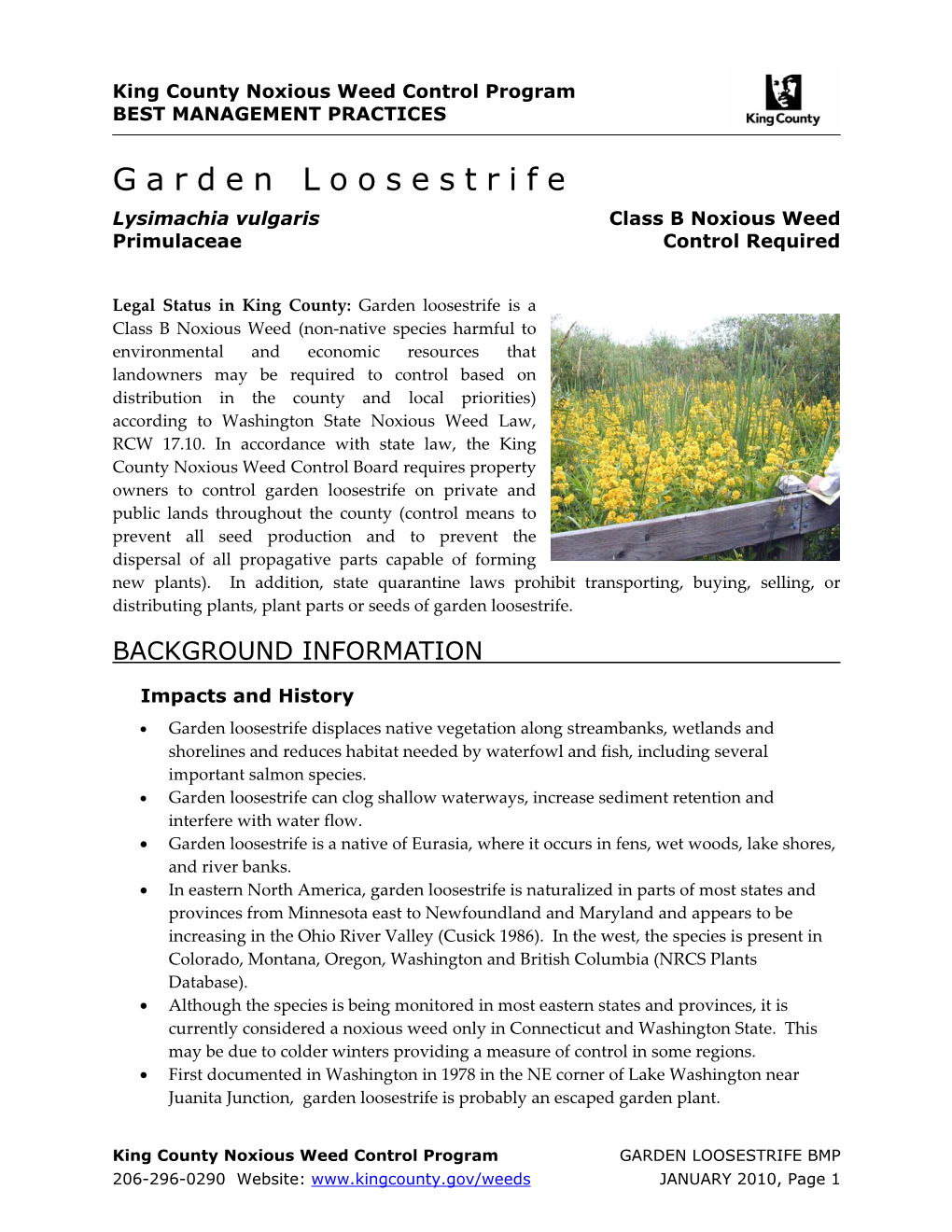 King County Best Management Practices for Garden Loosestrife