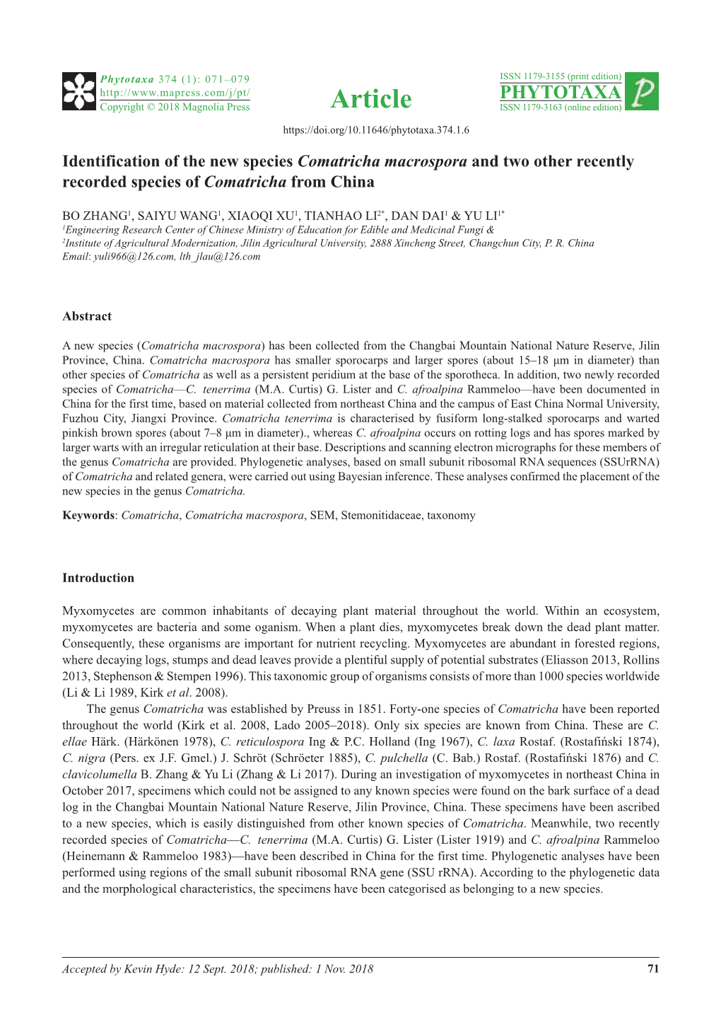 Identification of the New Species Comatricha Macrospora and Two Other Recently Recorded Species of Comatricha from China