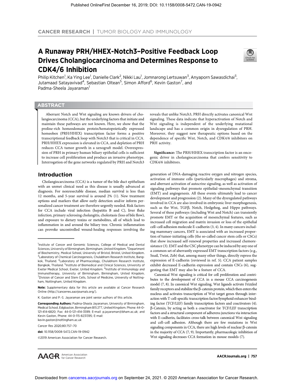 A Runaway PRH/HHEX-Notch3–Positive Feedback Loop Drives