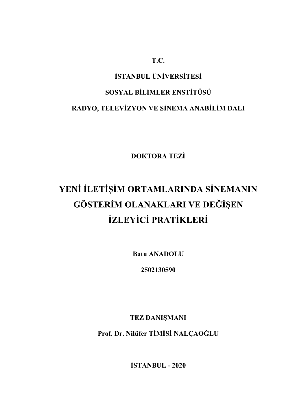 Yeni Iletişim Ortamlarinda Sinemanin Gösterim Olanaklari Ve Değişen Izleyici Pratikleri