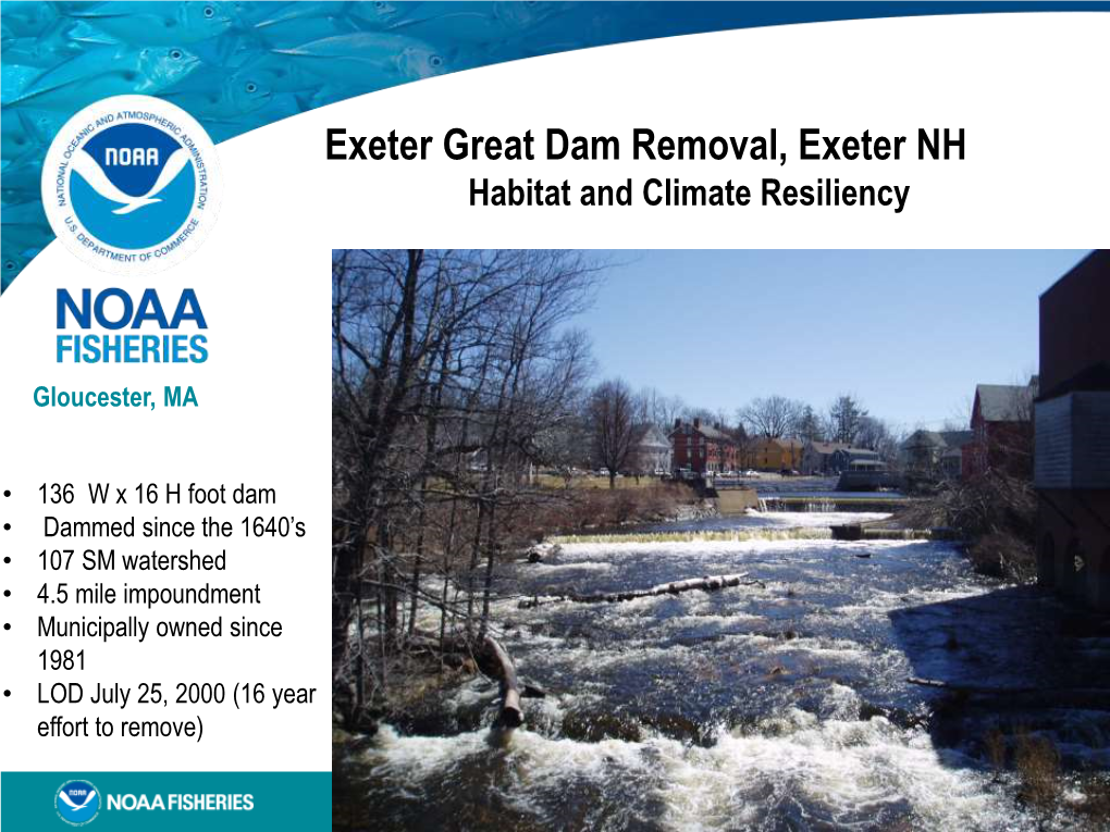 Exeter Great Dam Removal, Exeter NH Habitat and Climate Resiliency