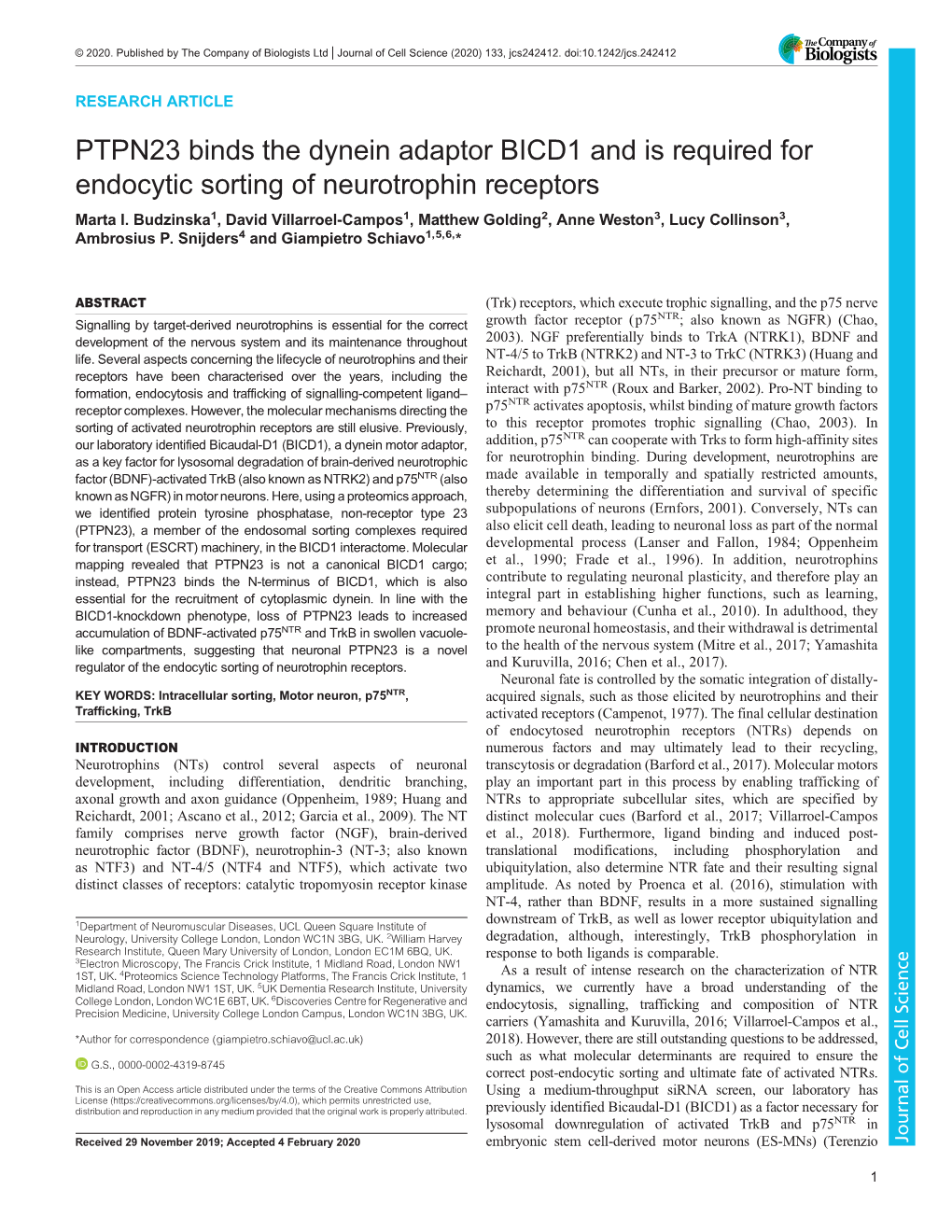 PTPN23 Binds the Dynein Adaptor BICD1 and Is Required for Endocytic Sorting of Neurotrophin Receptors Marta I