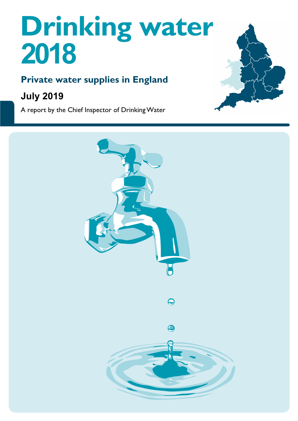 Drinking Water 2018 Private Water Supplies in England July 2019 a Report by the Chief Inspector of Drinking Water This Page Is Intentionally Blank