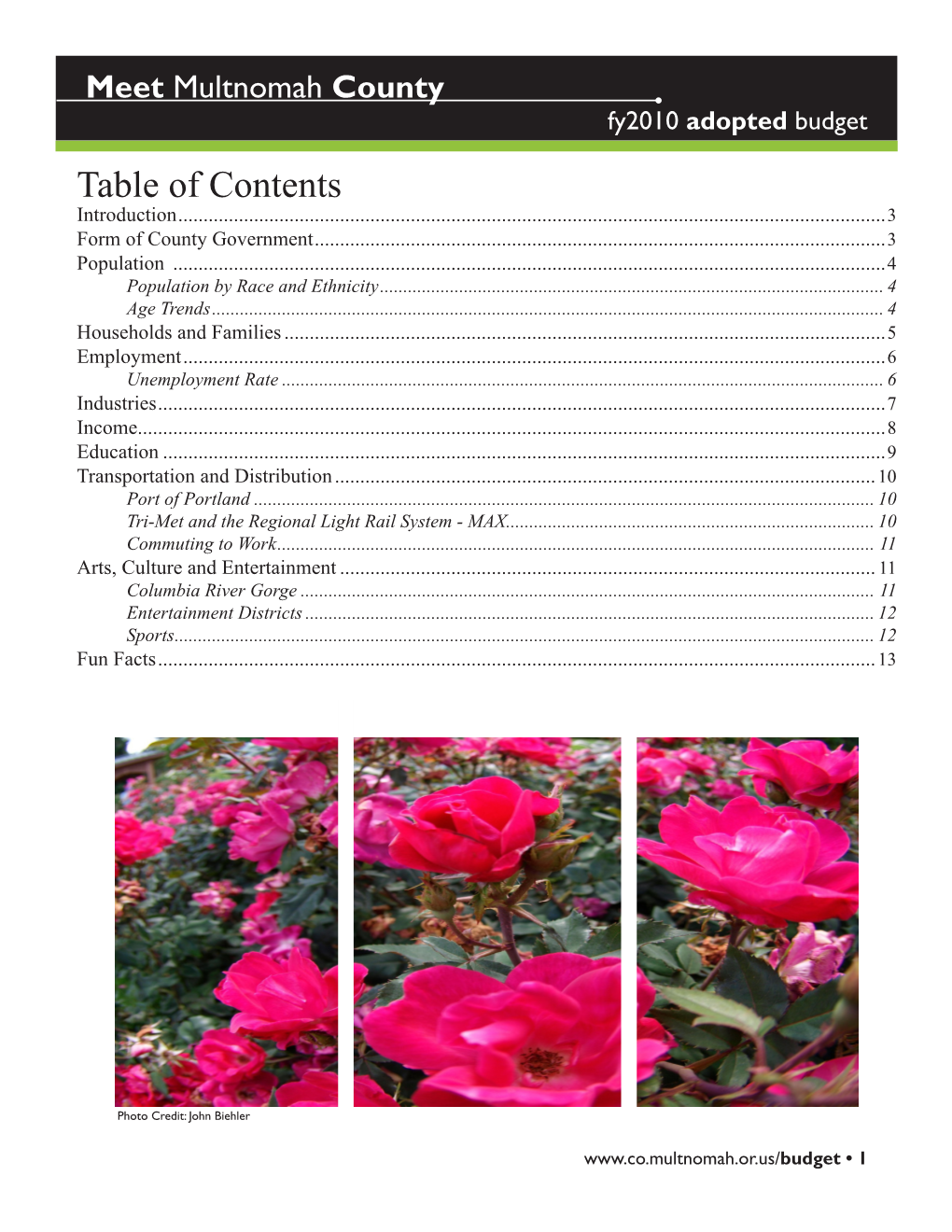 Table of Contents