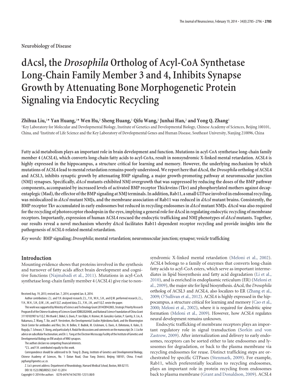 Dacsl, Thedrosophilaortholog of Acyl-Coa Synthetase Long-Chain Family Member 3 and 4, Inhibits Synapse Growth by Attenuating