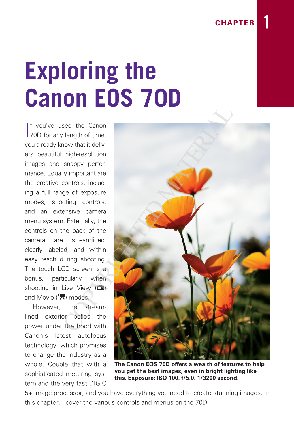 Exploring T He Canon EOS