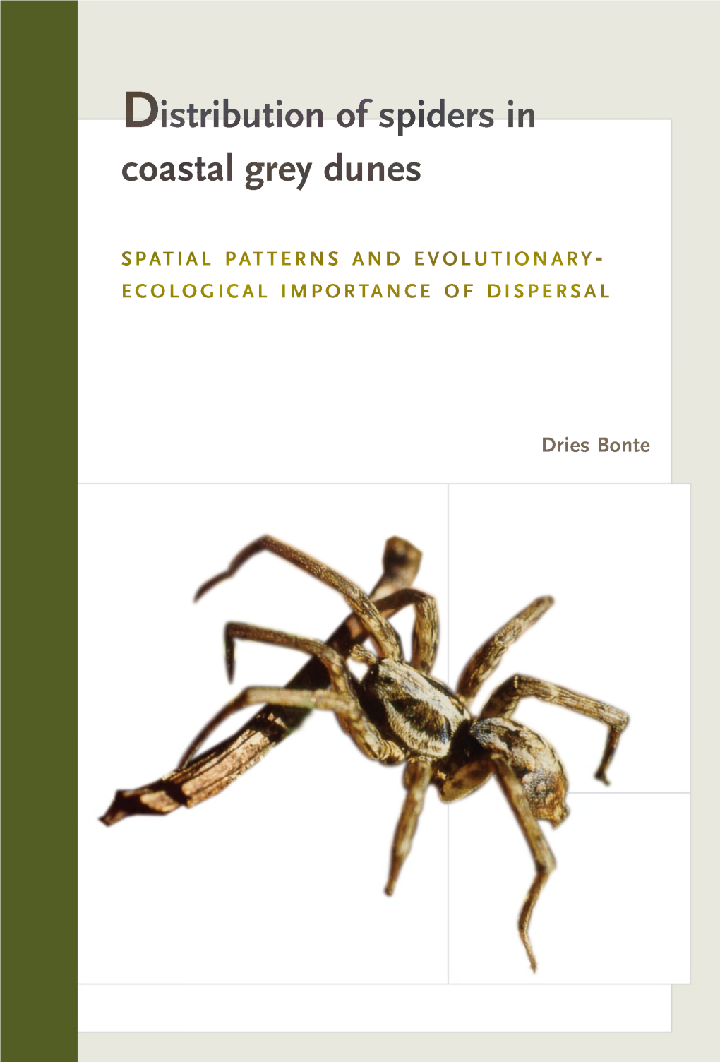 Distribution of Spiders in Coastal Grey Dunes