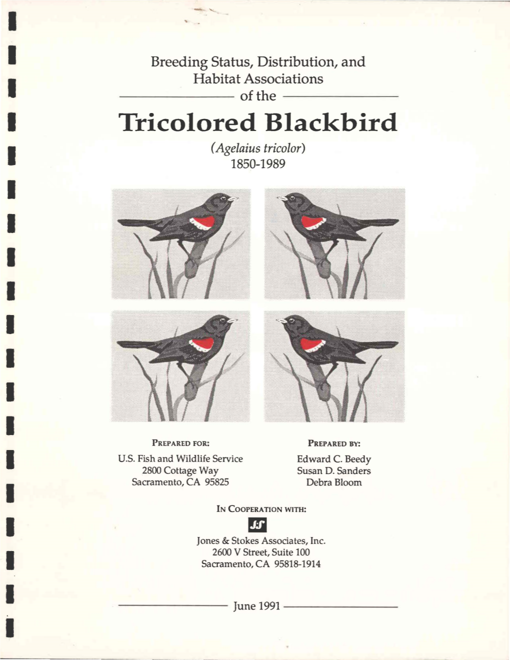 Breeding Status, Distribution, and Habitat Associations