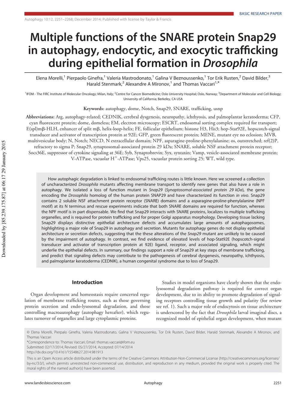 Multiple Functions of the SNARE Protein Snap29 in Autophagy, Endocytic, and Exocytic Trafﬁcking During Epithelial Formation in Drosophila