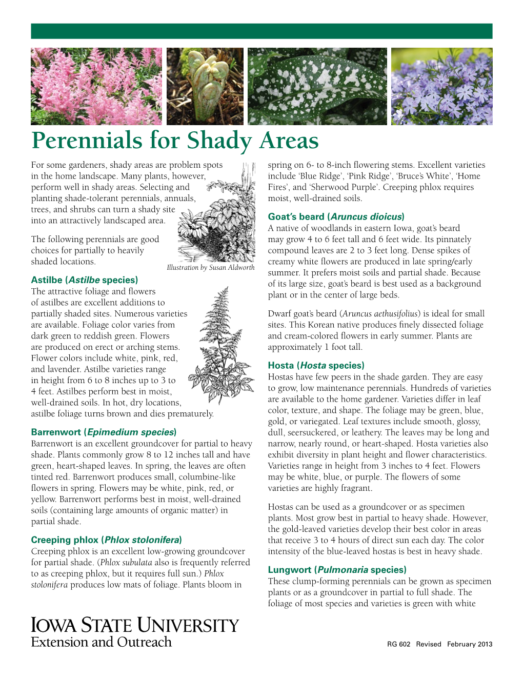 Perennials for Shady Areas for Some Gardeners, Shady Areas Are Problem Spots Spring on 6- to 8-Inch Flowering Stems