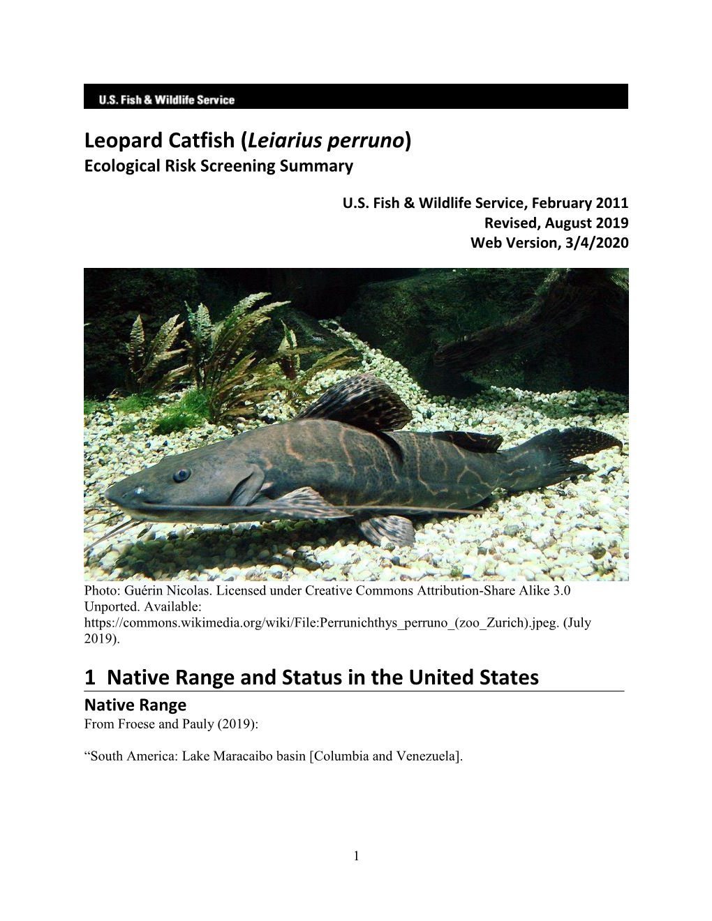 Leopard Catfish (Leiarius Perruno) Ecological Risk Screening Summary
