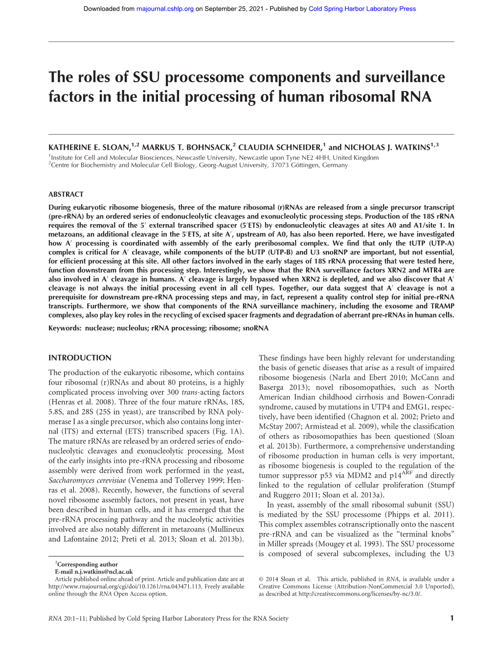 The Roles of SSU Processome Components and Surveillance Factors in the Initial Processing of Human Ribosomal RNA