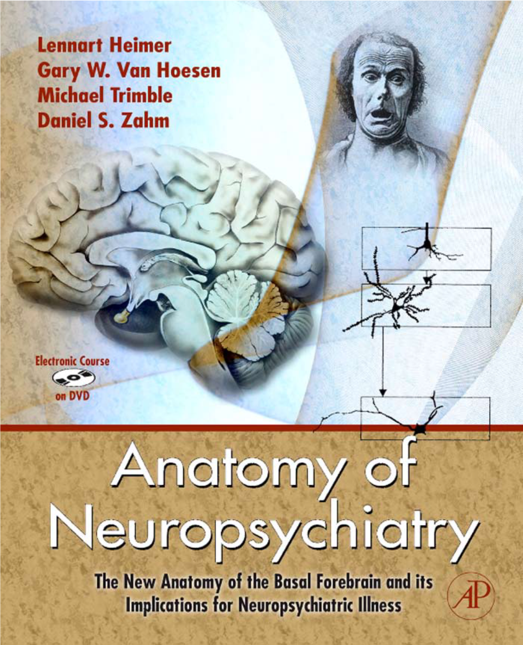 The New Anatomy of the Basal Forebrain and Its Implications For